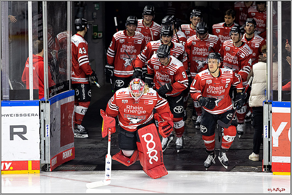 PENNY DEL;  Kölner Haie - Adler Mannheim; Köln, 04.11.2022